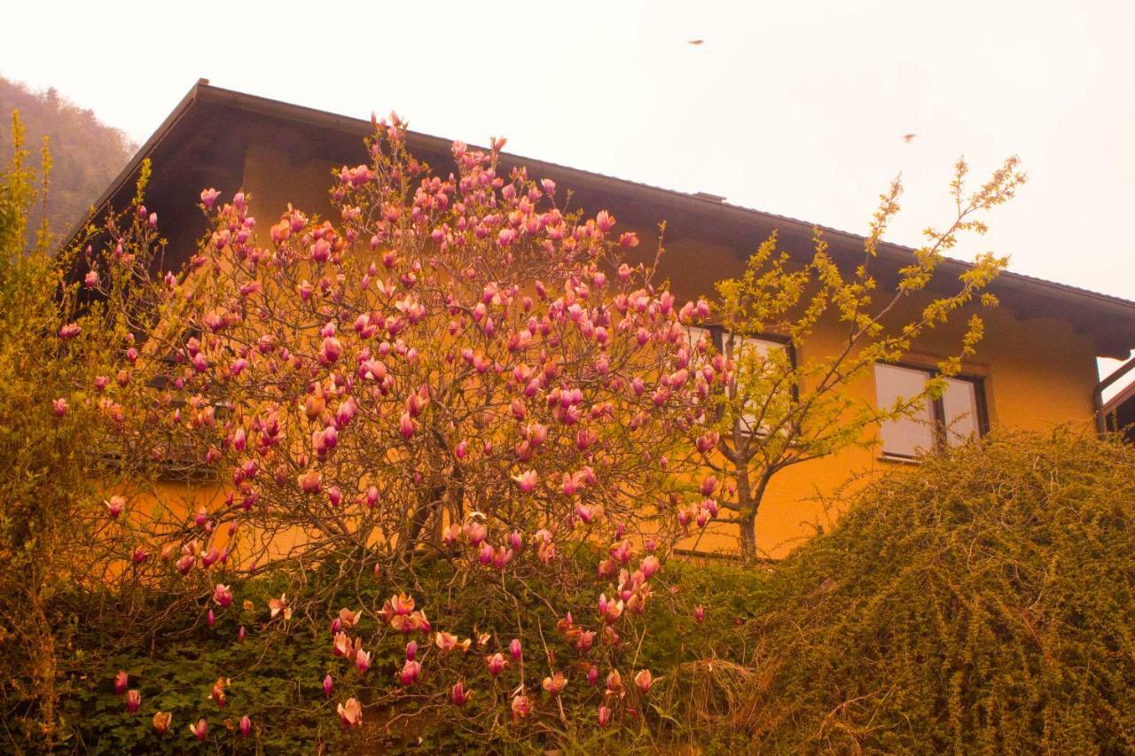 Na Kopitarjevi Laško Exterior foto