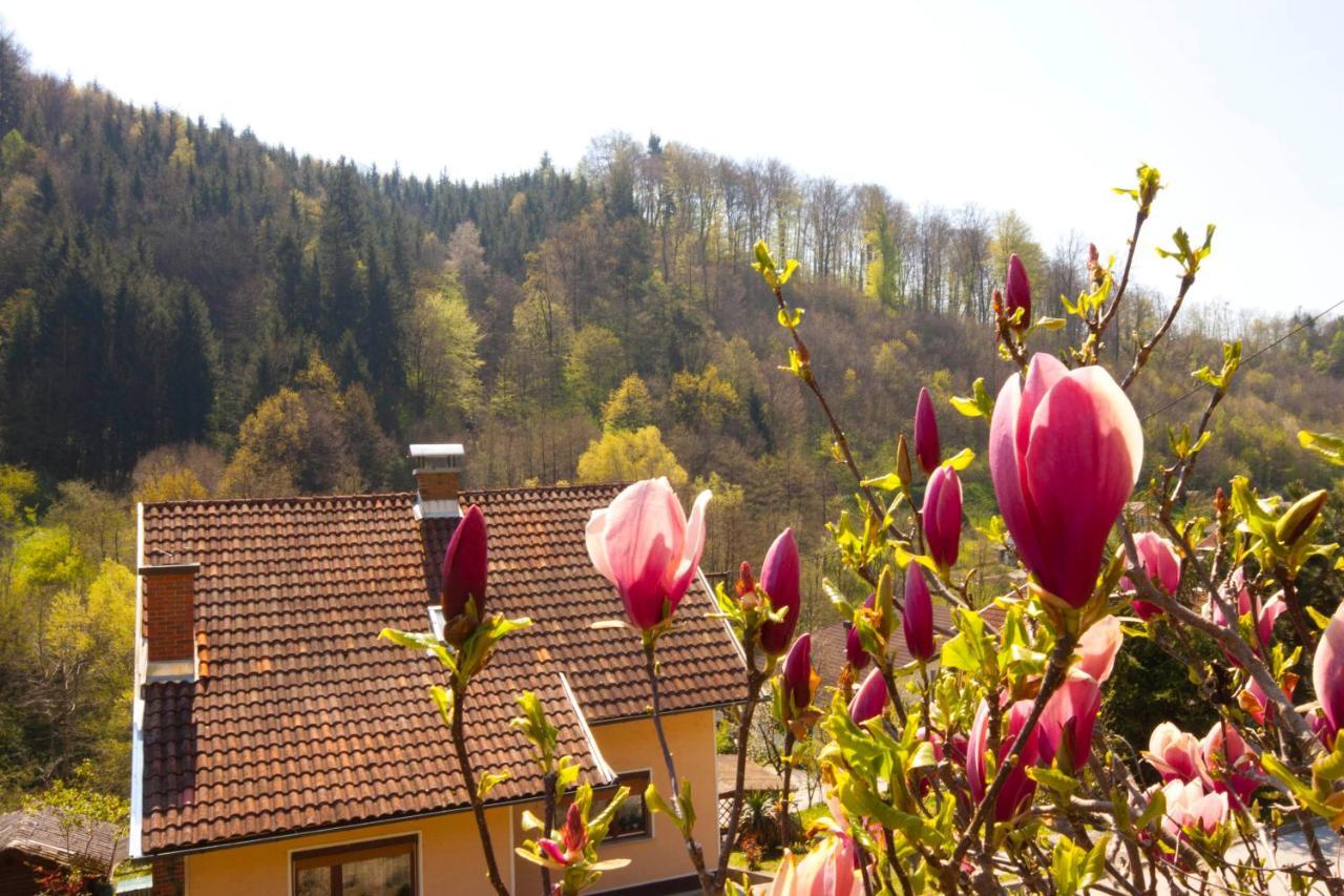 Na Kopitarjevi Laško Exterior foto