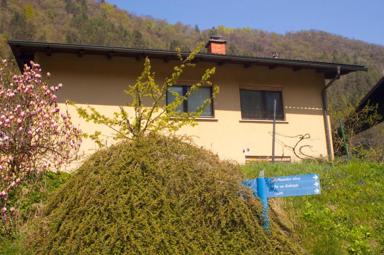 Na Kopitarjevi Laško Exterior foto