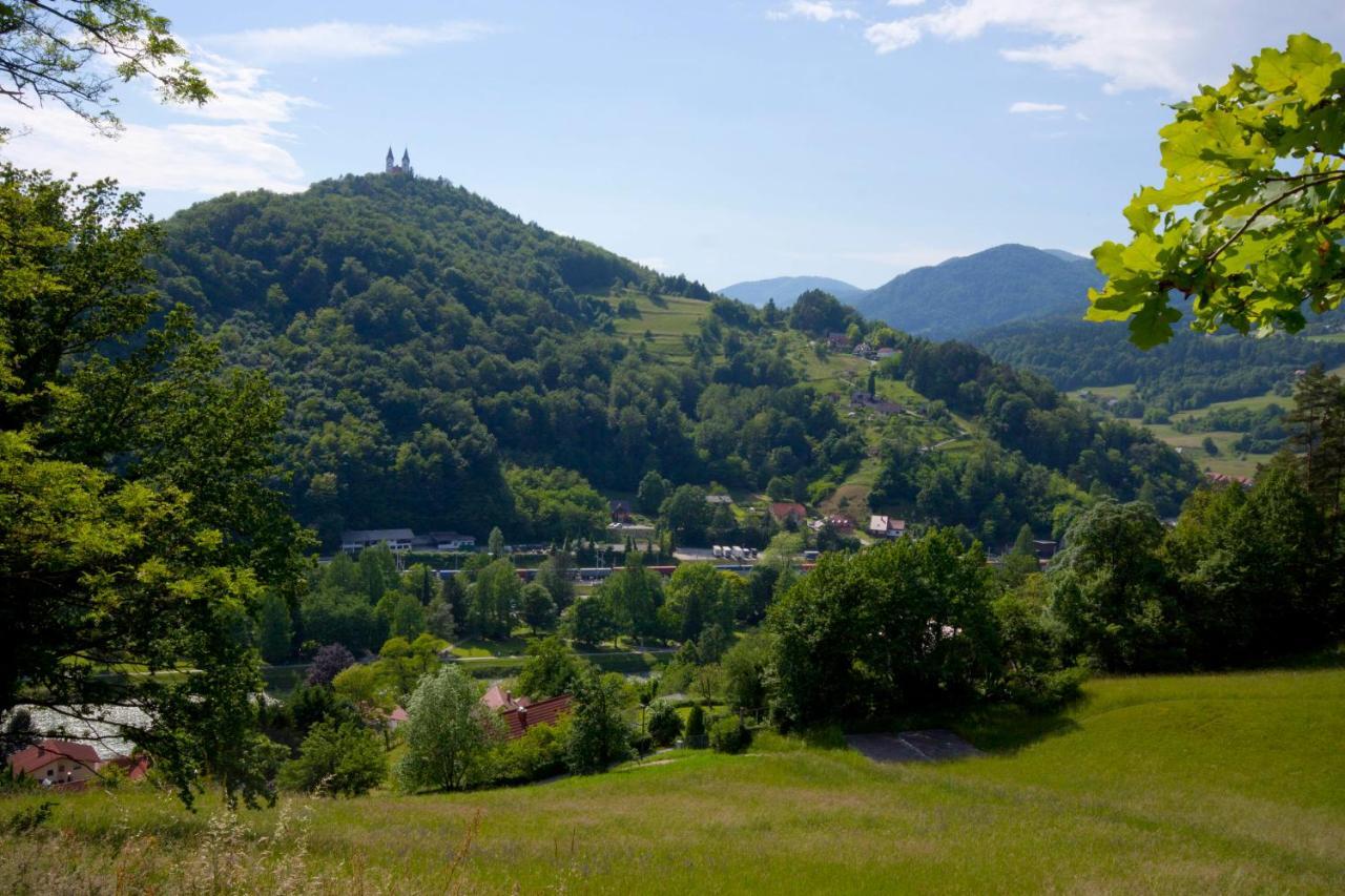 Na Kopitarjevi Laško Exterior foto